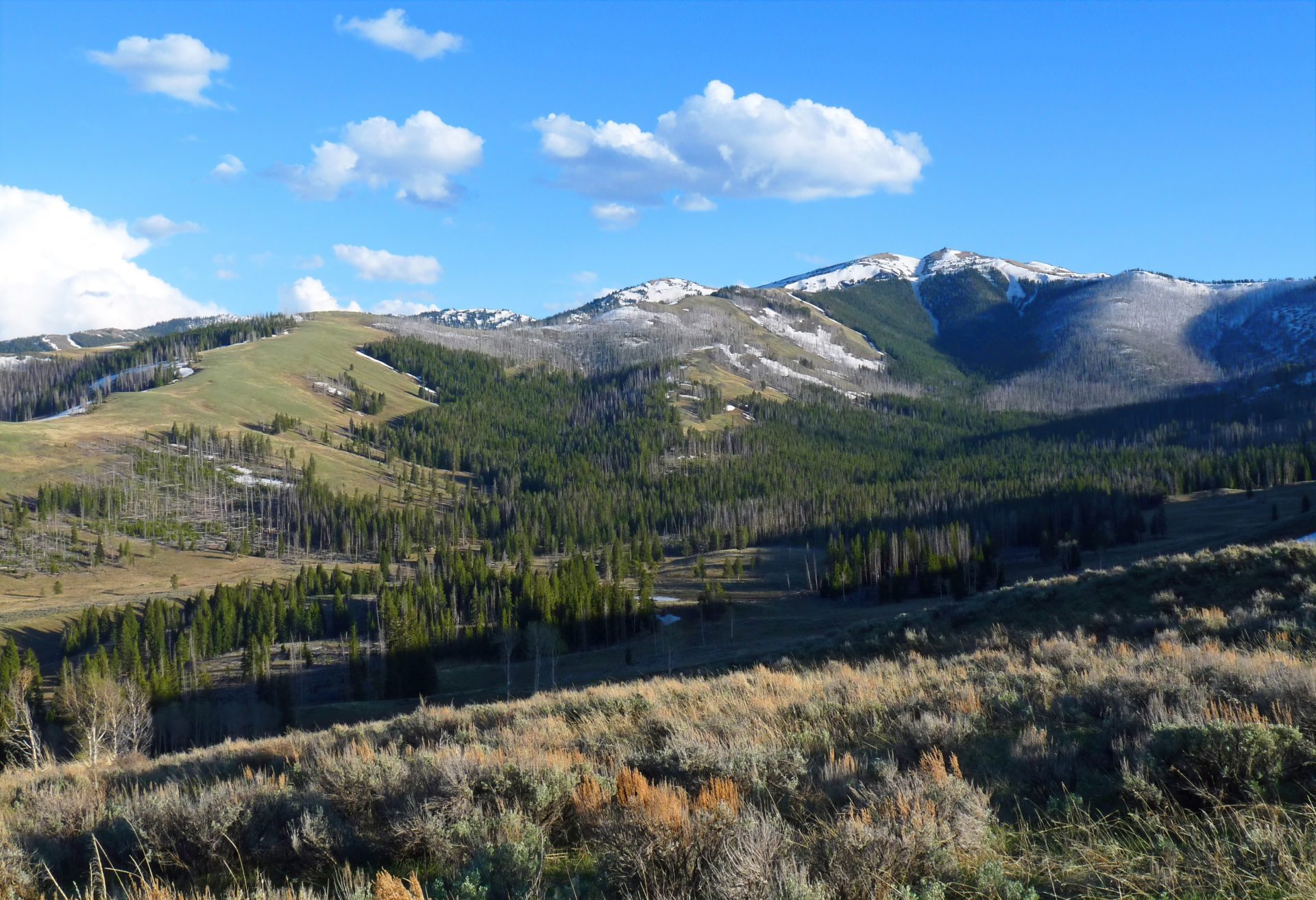 Mount Washburn / Dunraven Pass Area Enjoy Your Parks