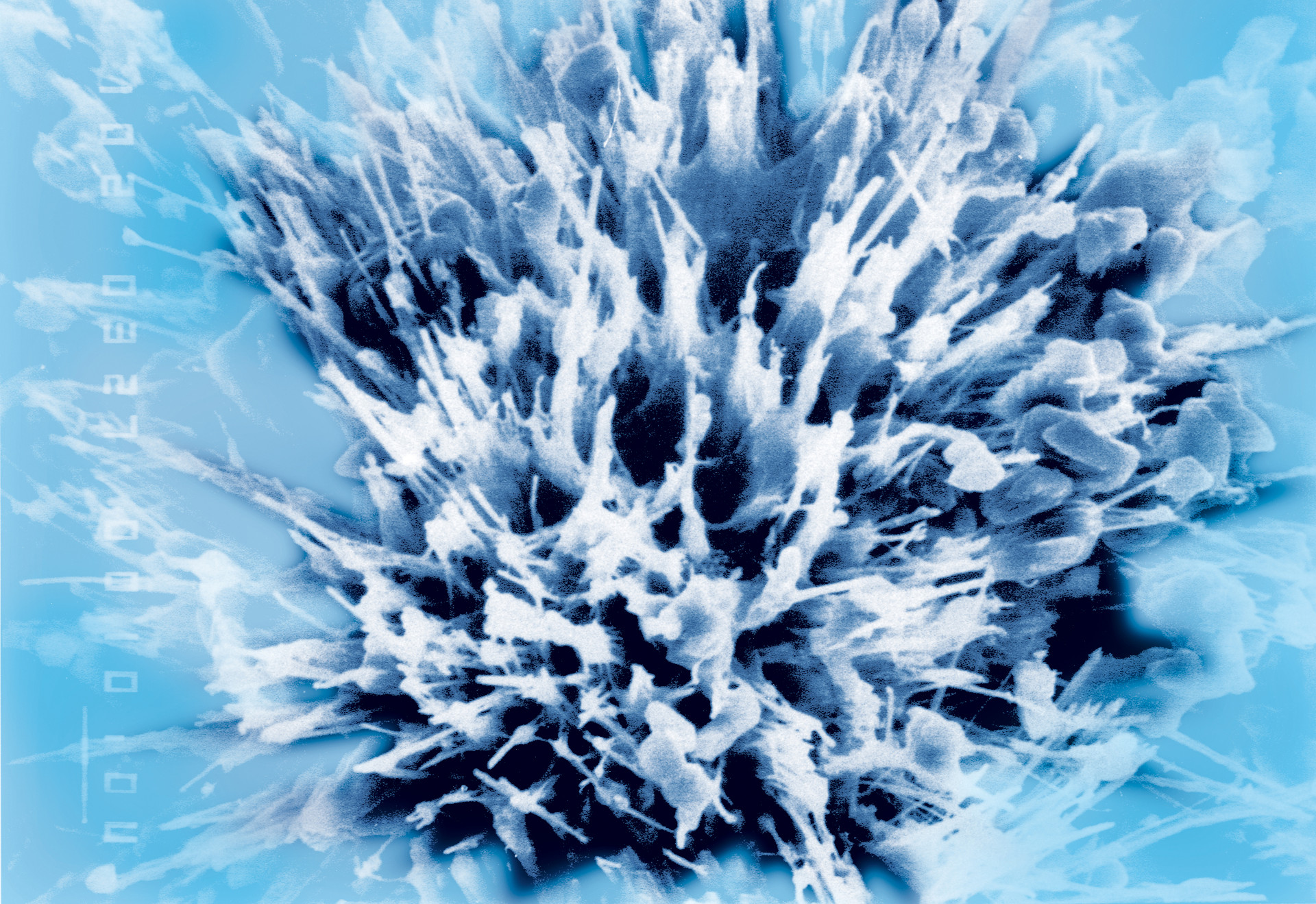 XYPEX ENKA Τεχνολογίες