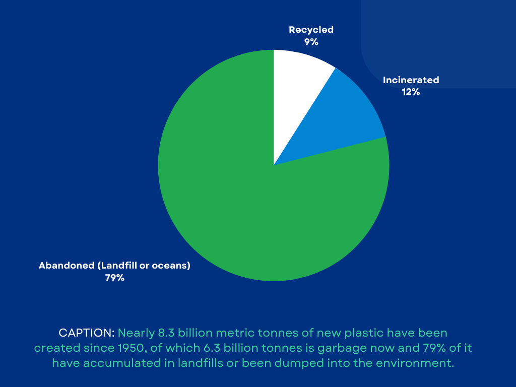Economic cost of plastic pollution Can we afford it? EKI Energy