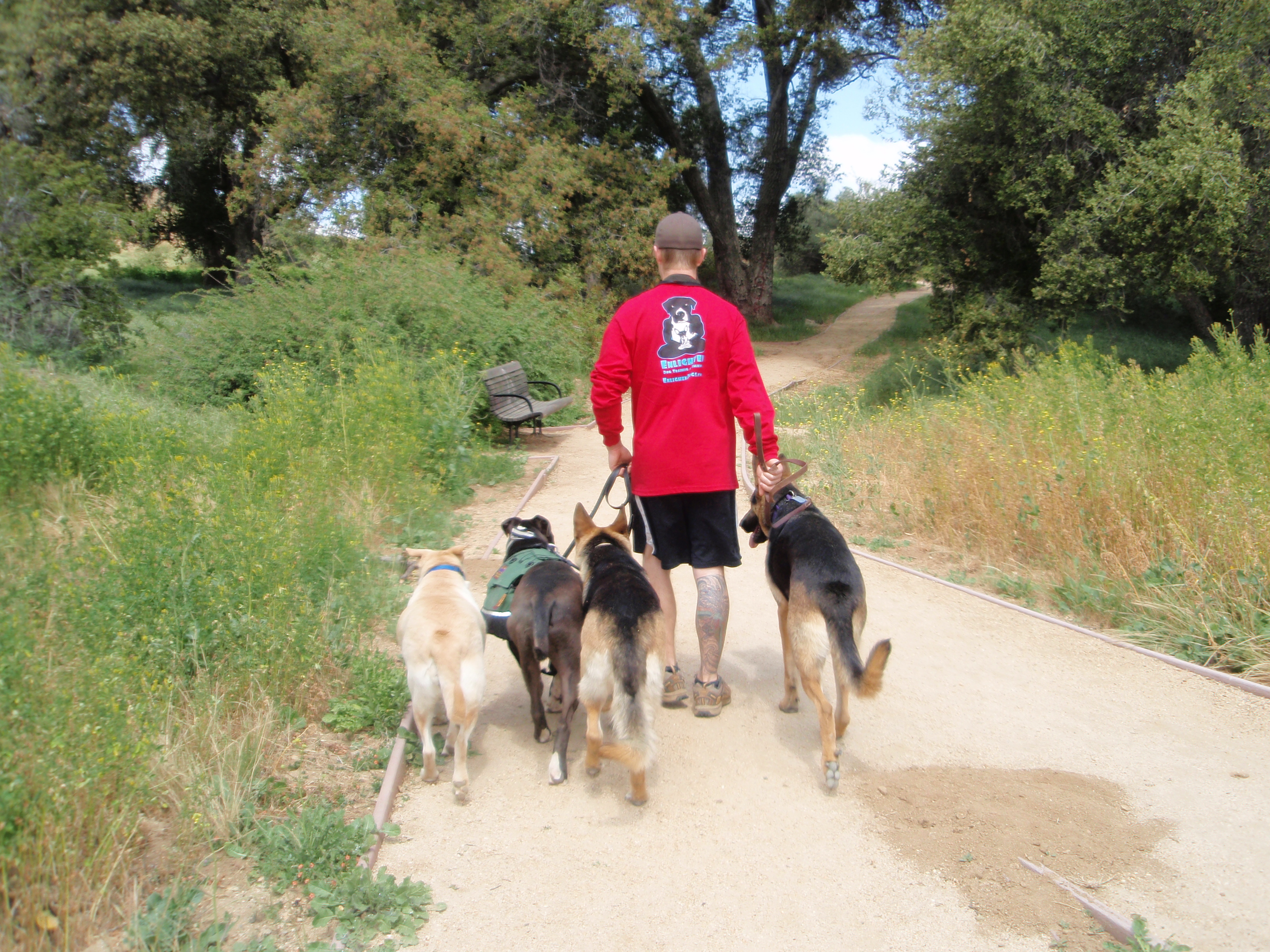 Dog exercising & Dog Walking for Redlands, Yucaipa, Beaumont