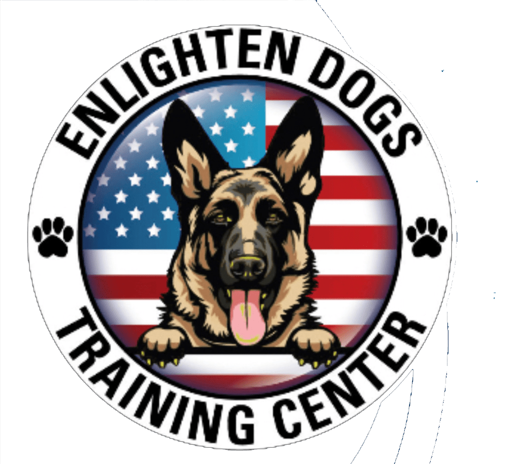 Dog Training Riverside Enlighten Dogs Training