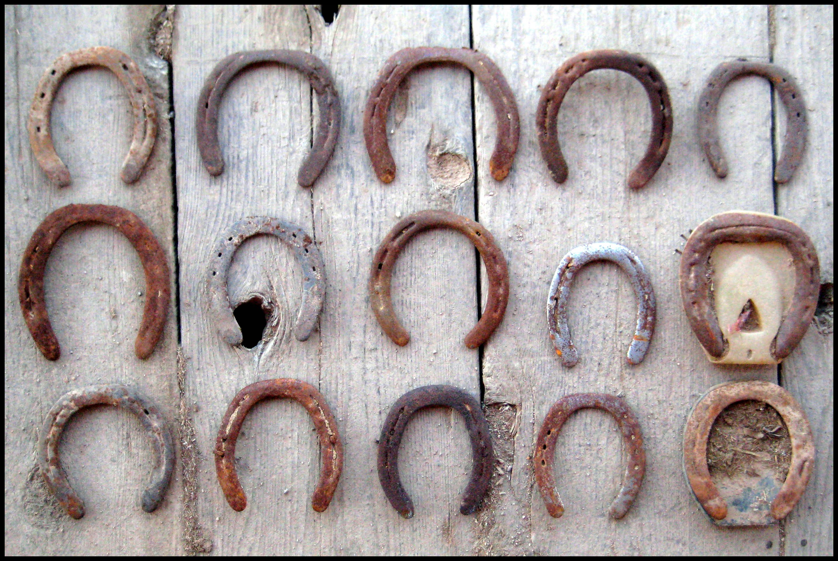 A Closer Look at Breakover — Enlightened Equine