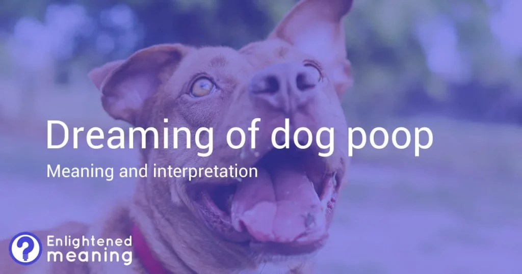 What Does A Dream About Dog Poop Mean