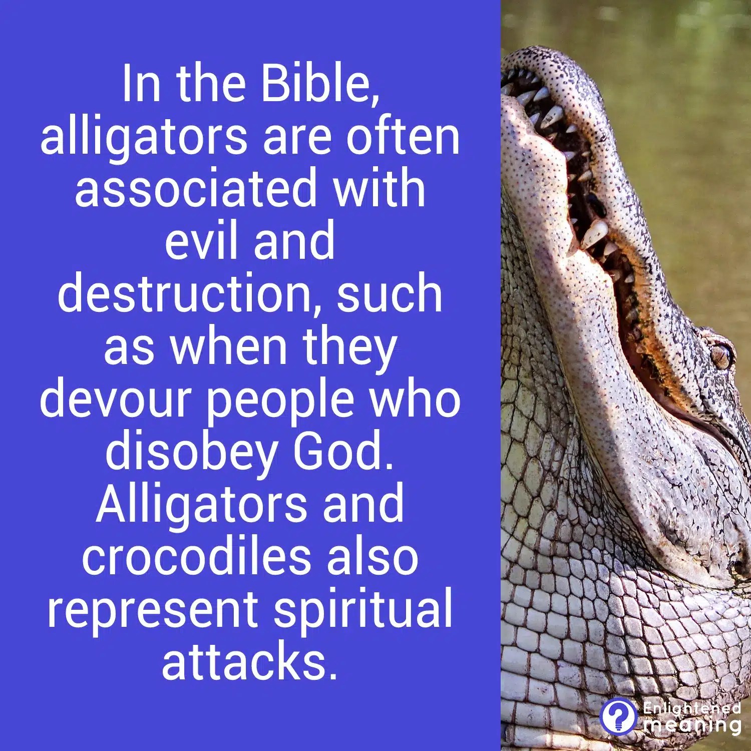 Biblical meaning of alligator in dreams 26 Powerful Messages Enlightened Meaning