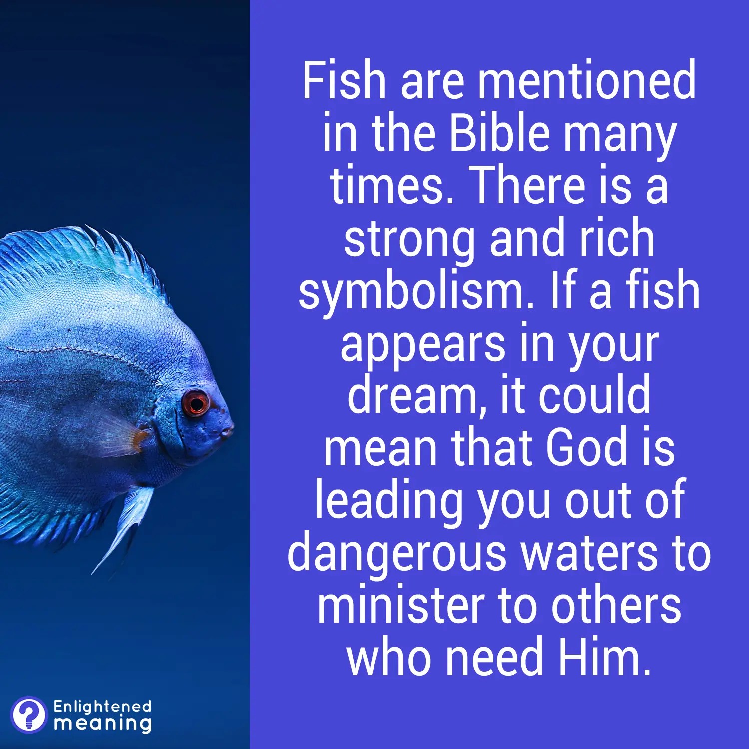 Biblical Meaning Of Fish In Dream Exploring 15 Divine Messages