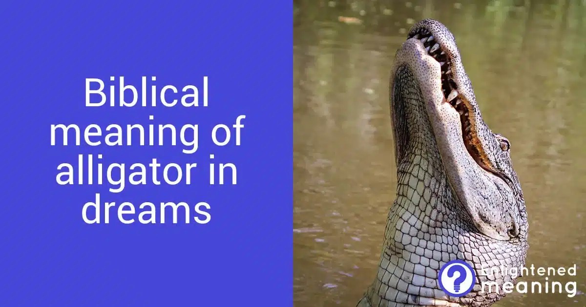 Biblical meaning of alligator in dreams 26 Powerful Messages