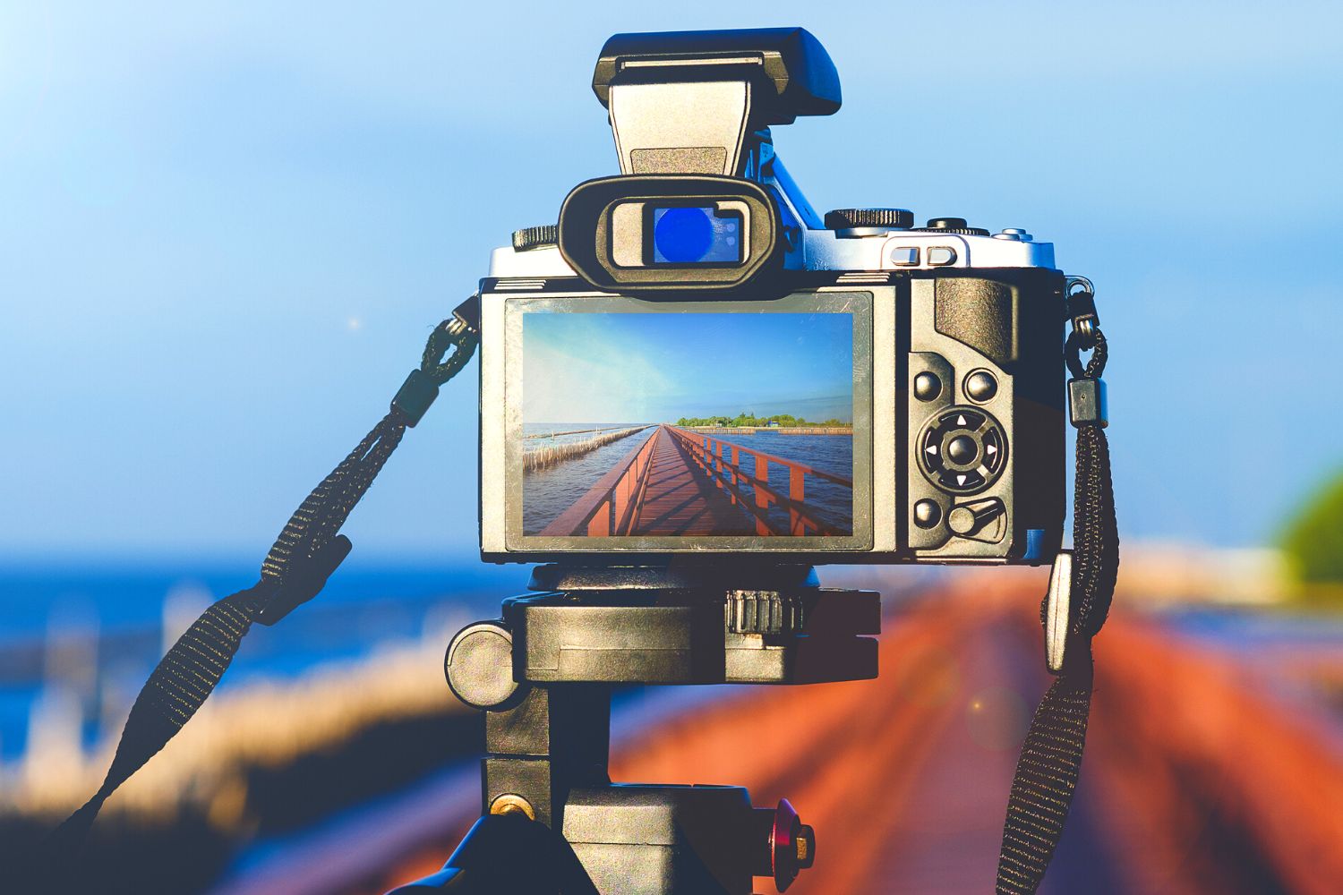 What Is a Point of View? Definition & 25+ Examples