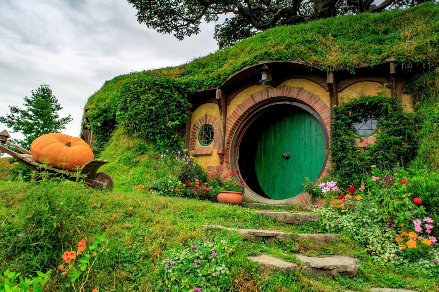 What Is Setting? Definition & 20+ Examples