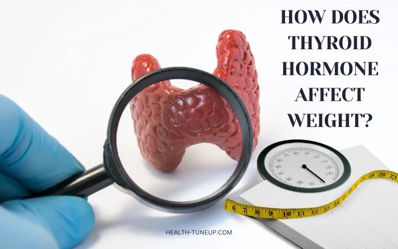 How Does Thyroid Hormone Affect Weight [5 Ways to Fix It]