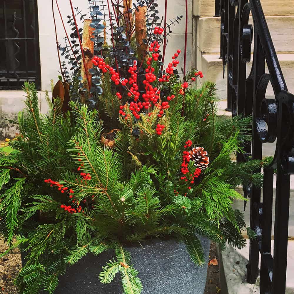 test Enliven Planters