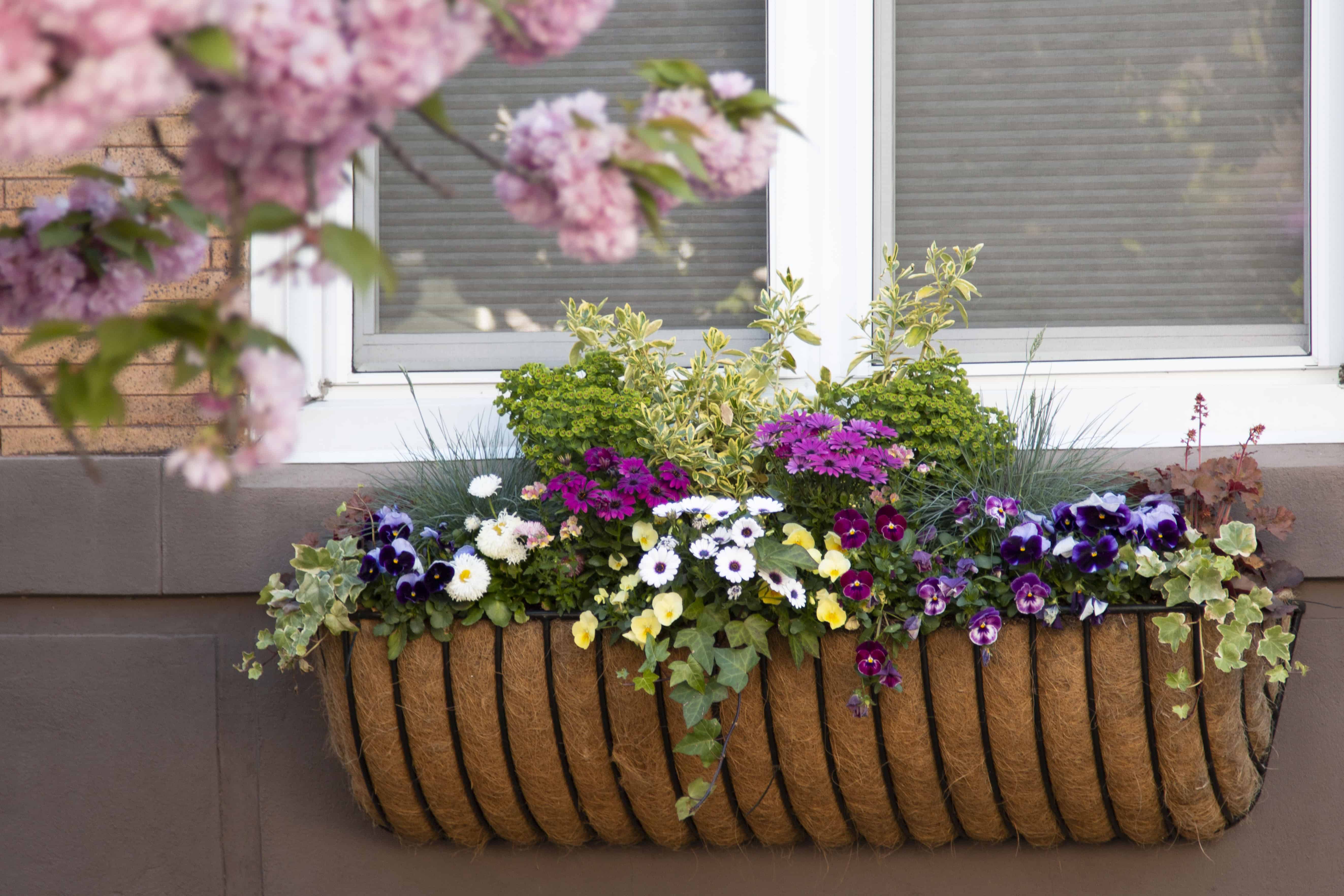 Spring19_Slide_18 Enliven Planters