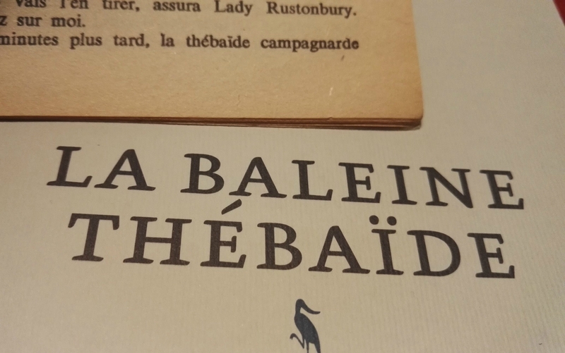 « La baleine thébaïde » de Pierre Raufast Enna lit, Enna Vit!