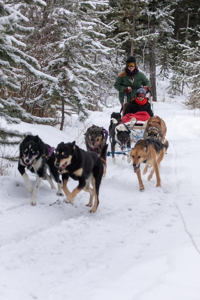 Enodah Kennel Dog Sledding Enodah Wilderness Travel Ltd.