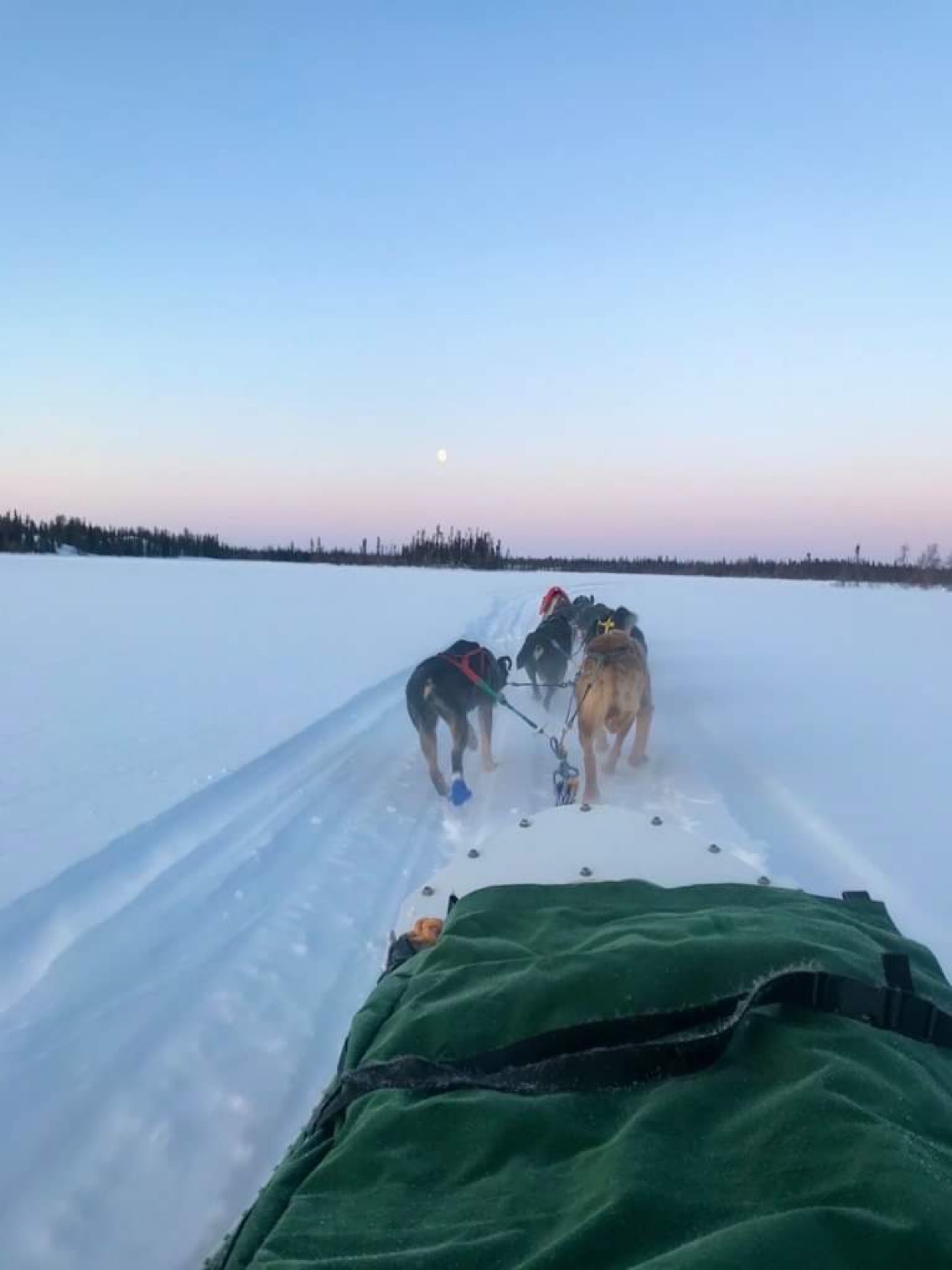 Enodah Kennel Dog Sledding Enodah Wilderness Travel Ltd.