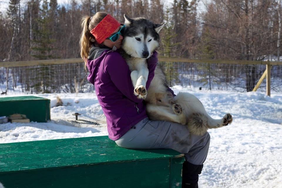 Enodah Kennel Dog Sledding Enodah Wilderness Travel Ltd.
