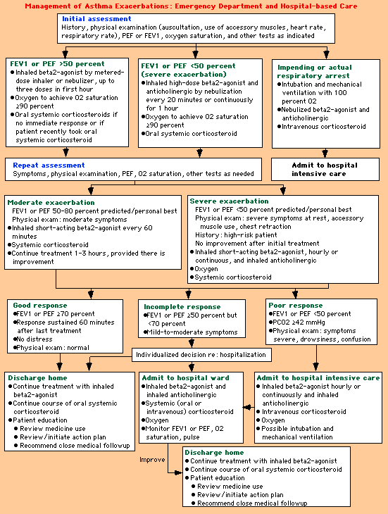 What's Status Asthmaticus at Henry Young blog