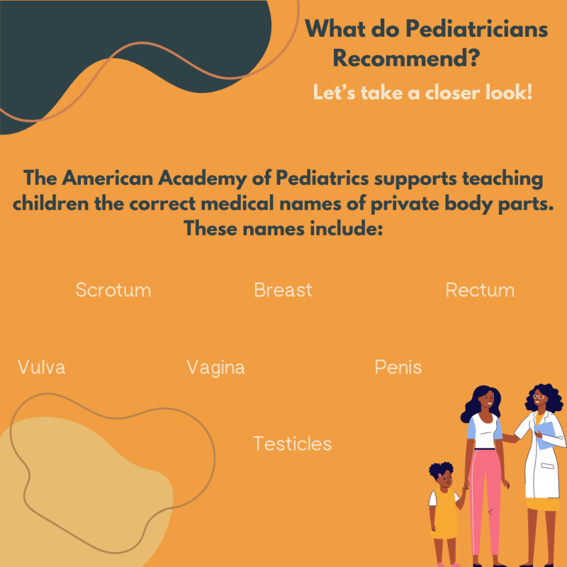 Why We Should Teach Children Proper Names for Private Body Parts