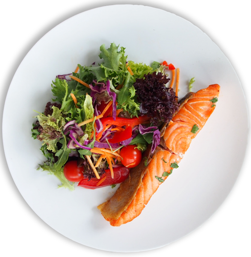 Salmon Plate Enova Nutrition • Fitness Center