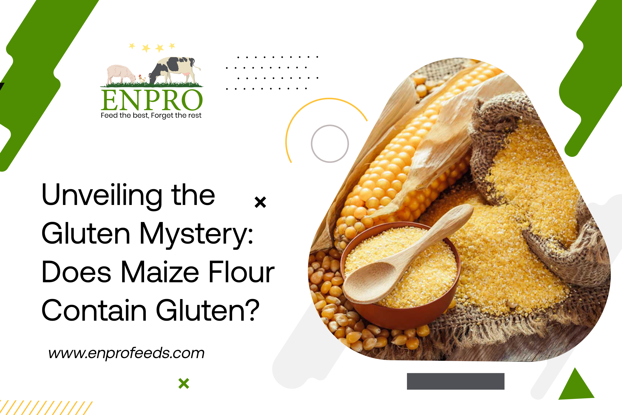 Unveiling the Gluten Mystery Does Maize Flour Contain Gluten?