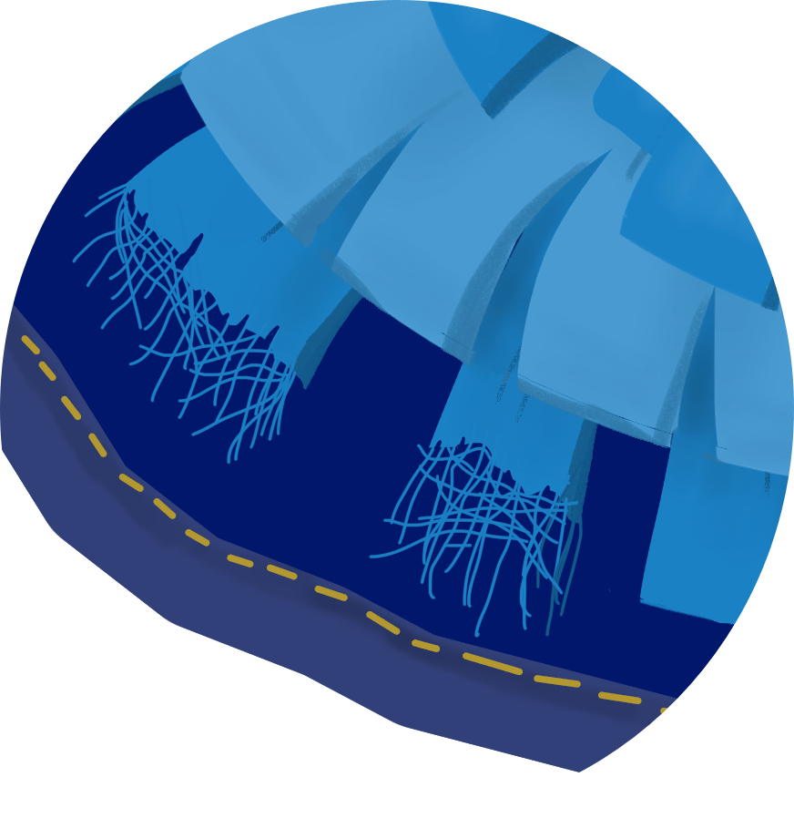 Is Your Horse Snuffle Mat Safe or Dangerous? Enriching Equines