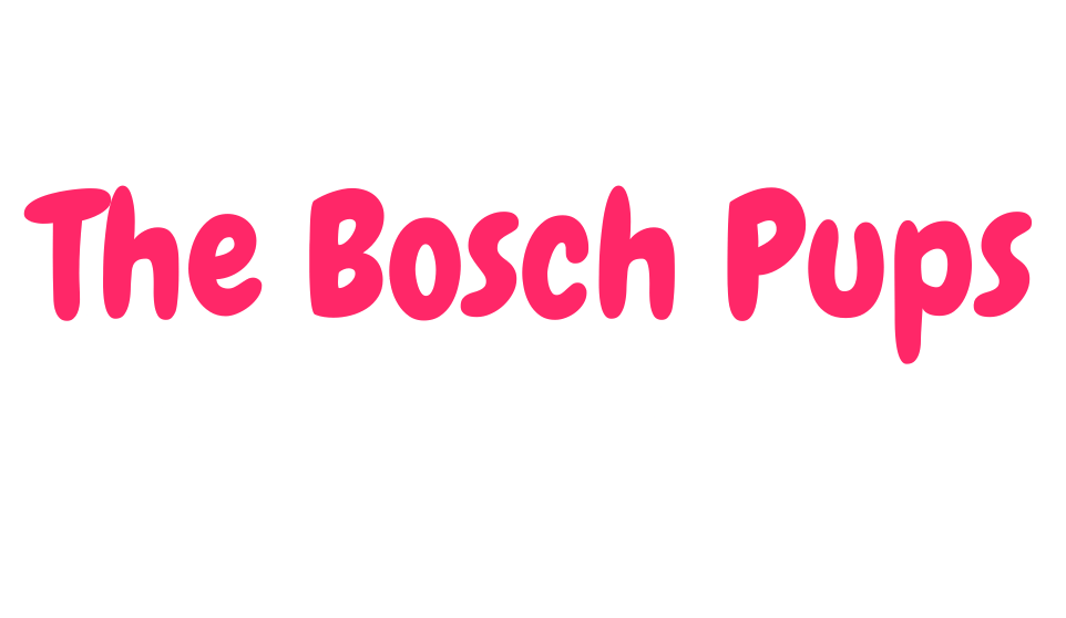 10 Dog Enrichment Ideas While You're at Work Enrich Your Dog's Life