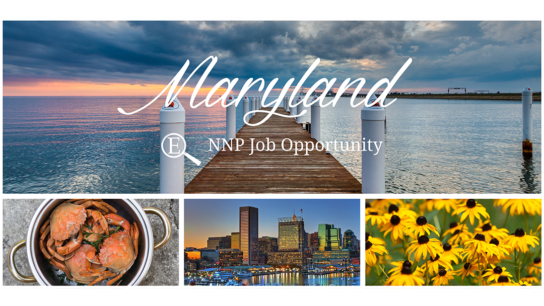 NNP Job in Maryland ENSEARCH Management Consultants