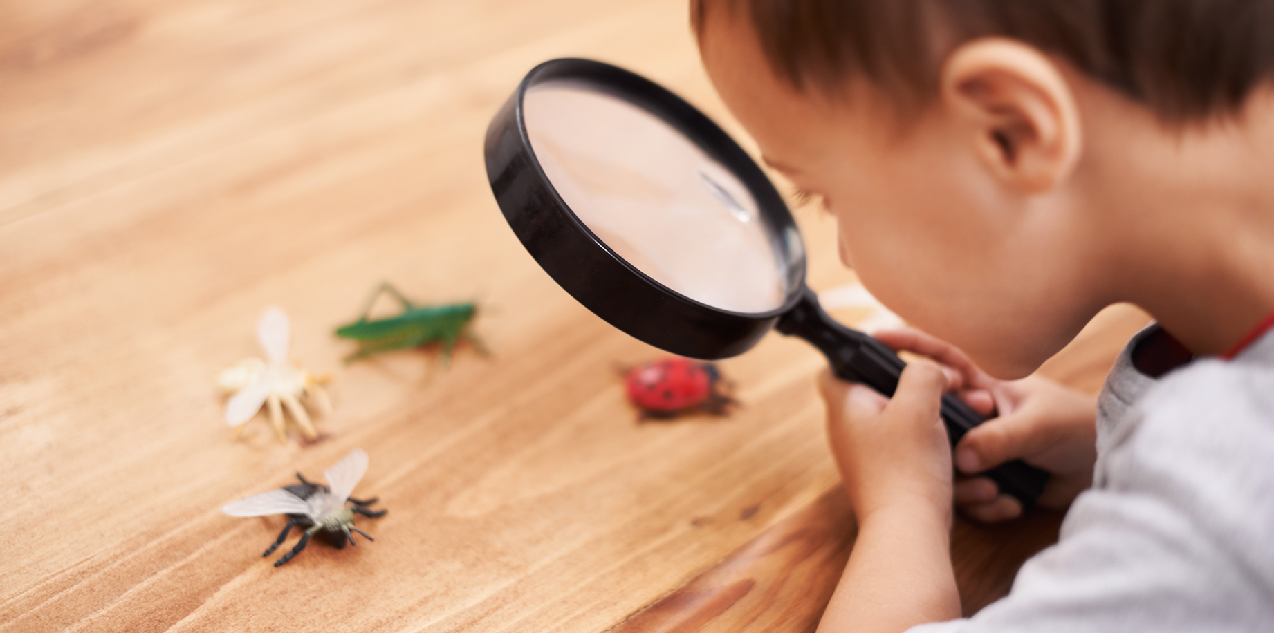 Why are harmful chemicals showing up in children’s toys? Ensia
