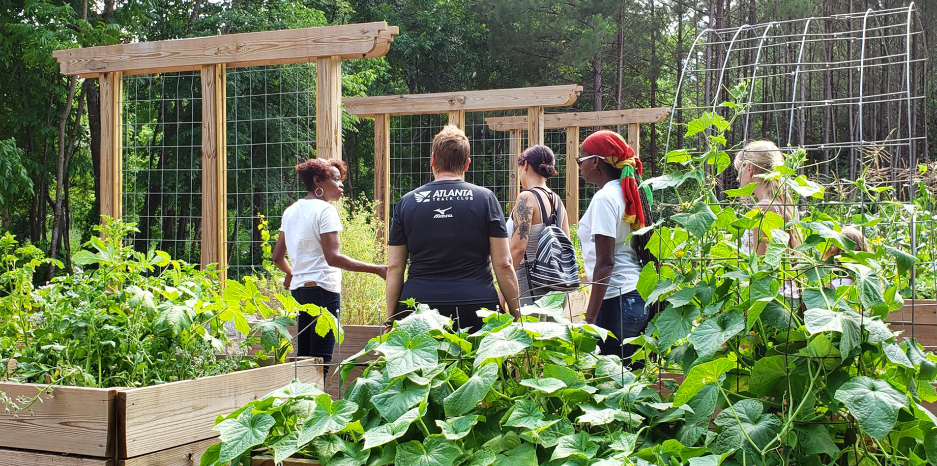 Look out, food deserts Here come the food forests Ensia