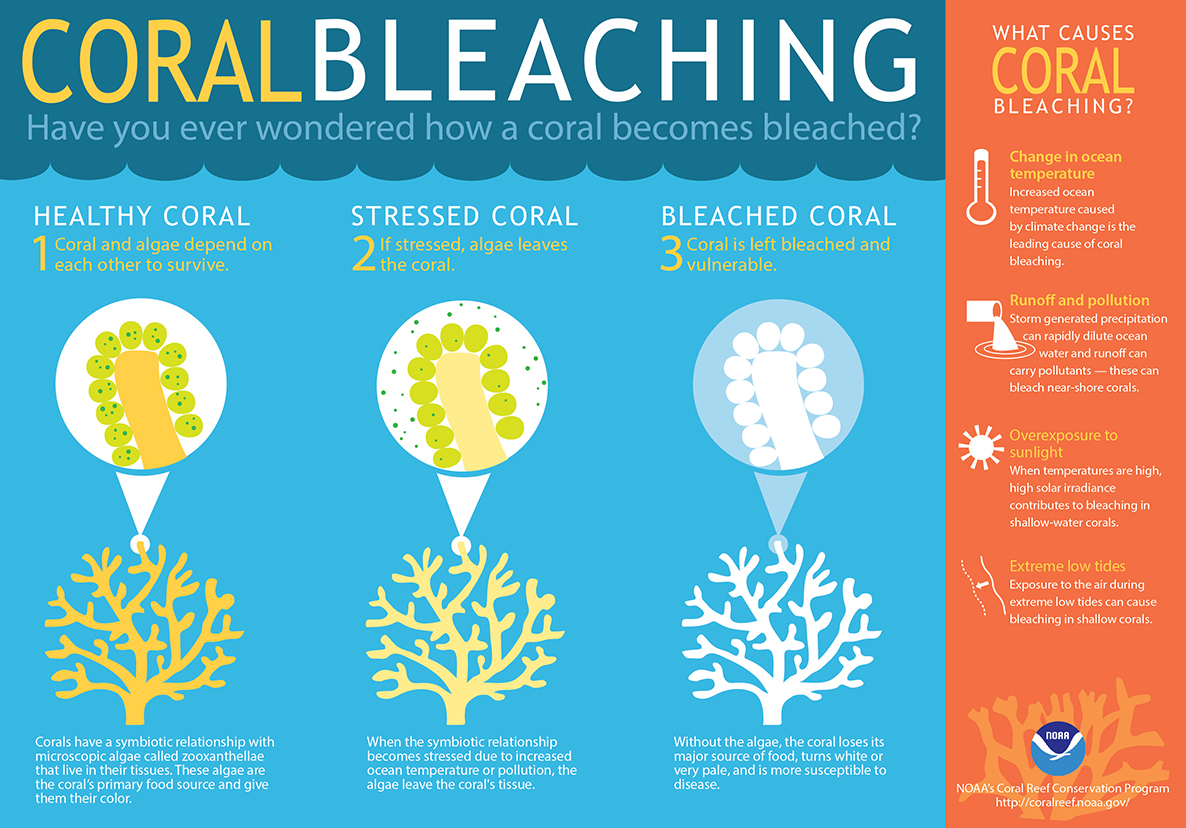 Is it time to use CRISPR to save biodiversity? Ensia