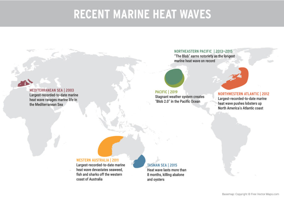 Marine heat waves are more common and intense. What can we do