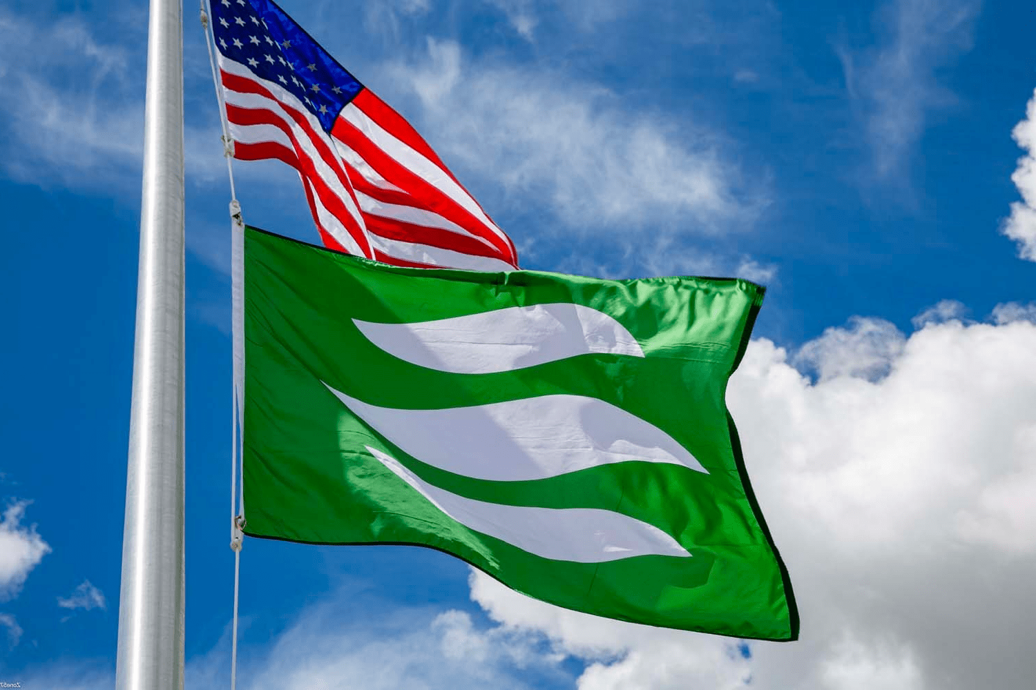 The Ensign Group, Inc. Skilled Nursing, Rehabilitation Therapy