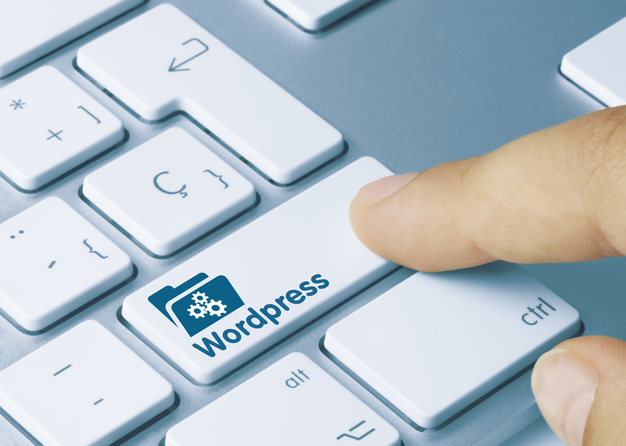 5 Reasons Why You Need the Help of a WordPress Expert