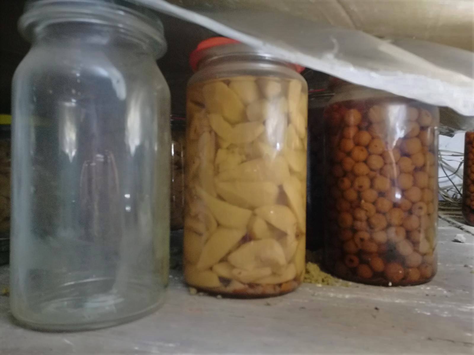 BrauereiGasthof Lang(s) unterwegs