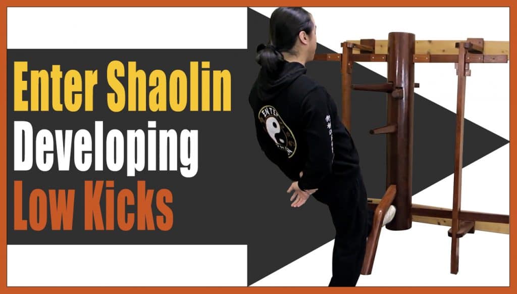 3 Basic Wing Chun Low Kicks » Enter Shaolin Learn Kung Fu Online
