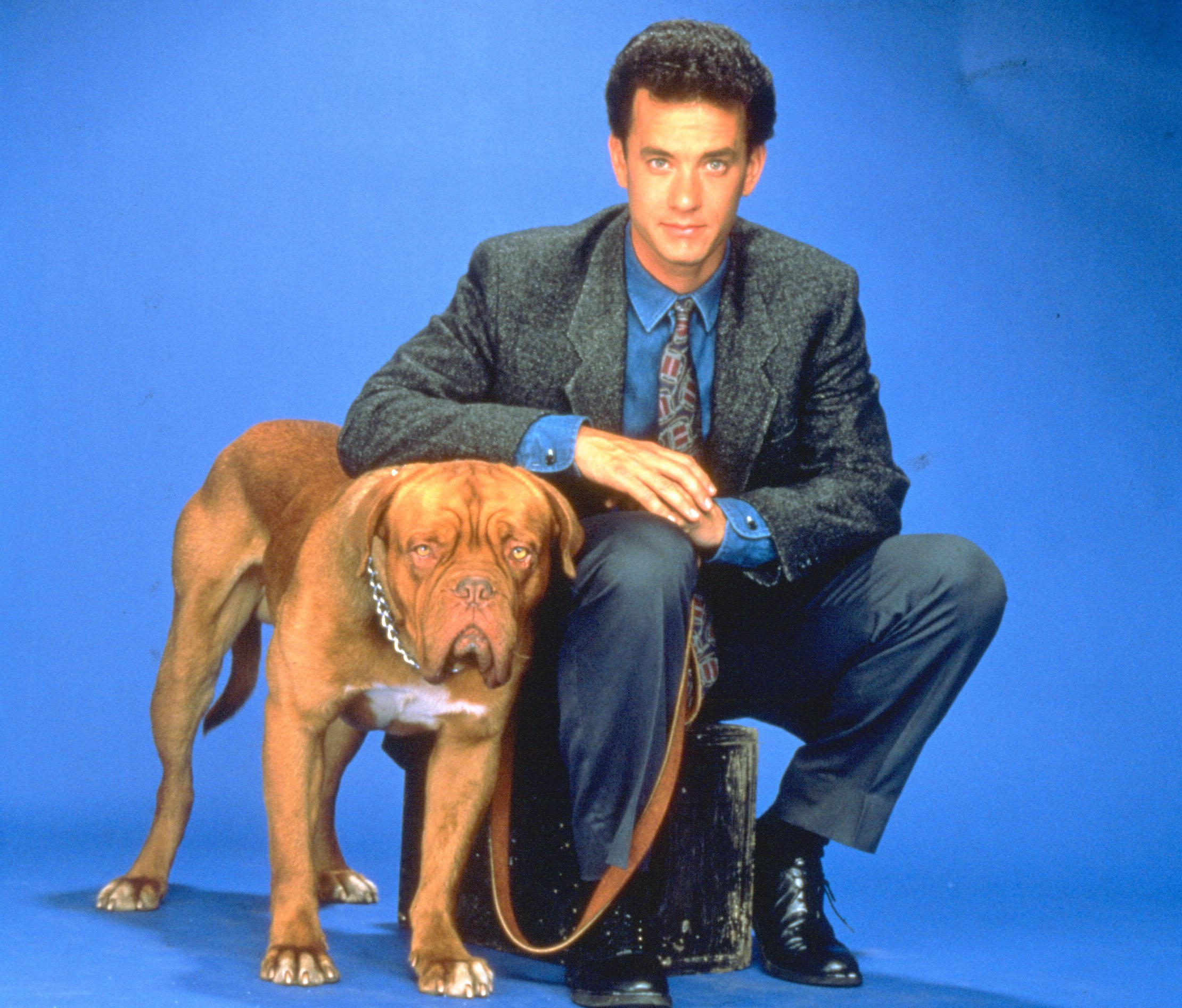 "Turner & Hooch" TV Series in Development at Disney+ Entertainment For Us