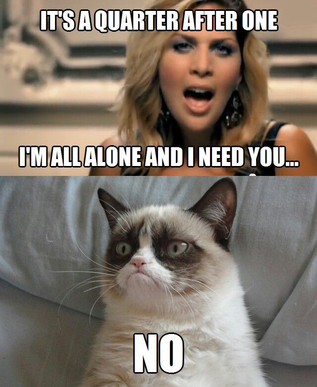 32FunnyGrumpyCatPicturesMemes EntertainmentMesh