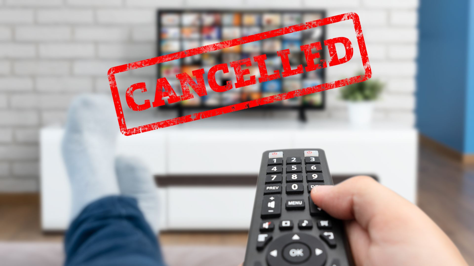 Cancelled Shows Has Your Favorite Gotten the Axe?