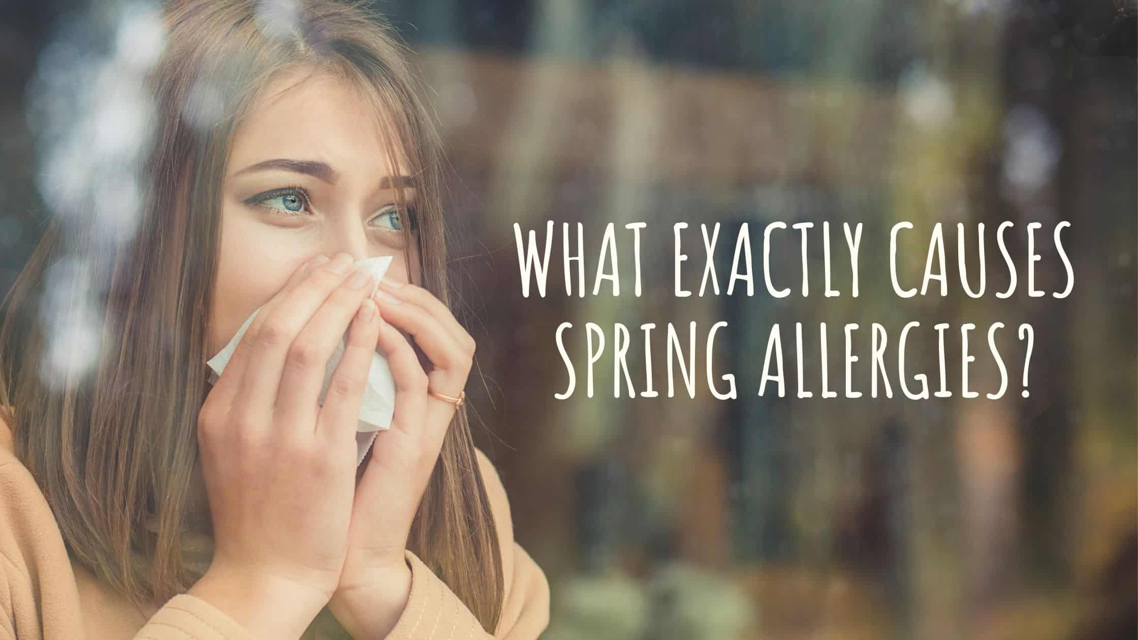 What Exactly Causes Spring Allergies? Enticare Ear, Nose, and Throat