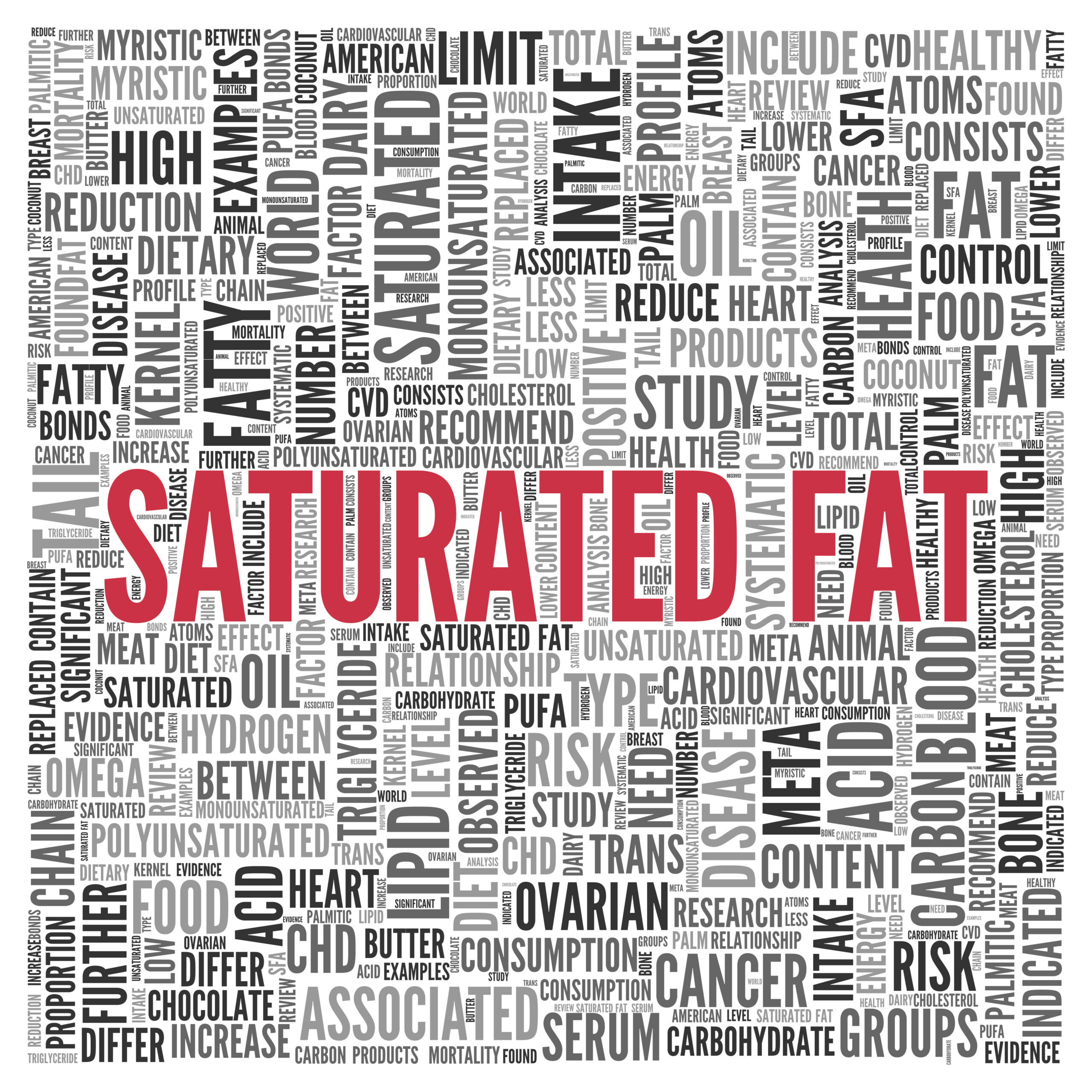 The Effects of Saturated Fat on Your Heart and Wellbeing Showit Blog