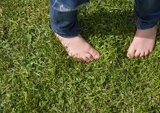 Intoeing Entire Podiatry