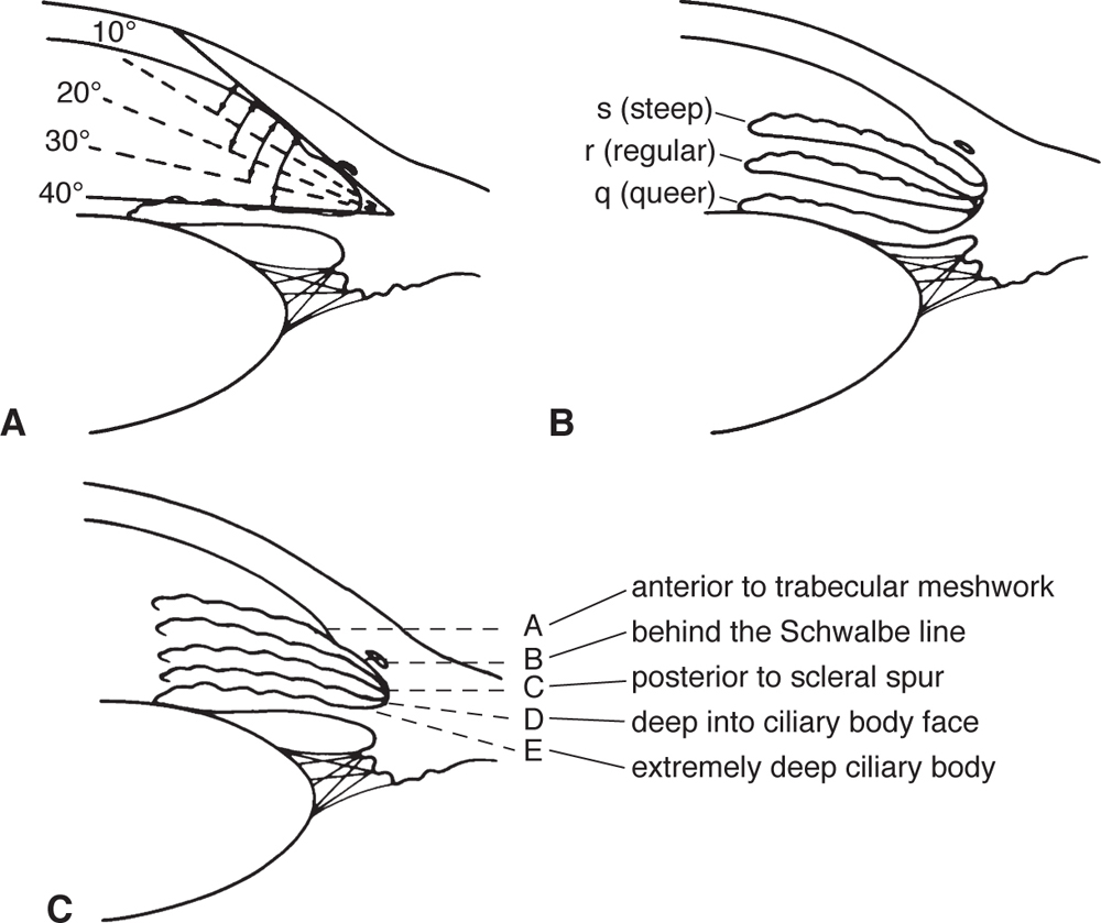 Clinical Evaluation Ento Key