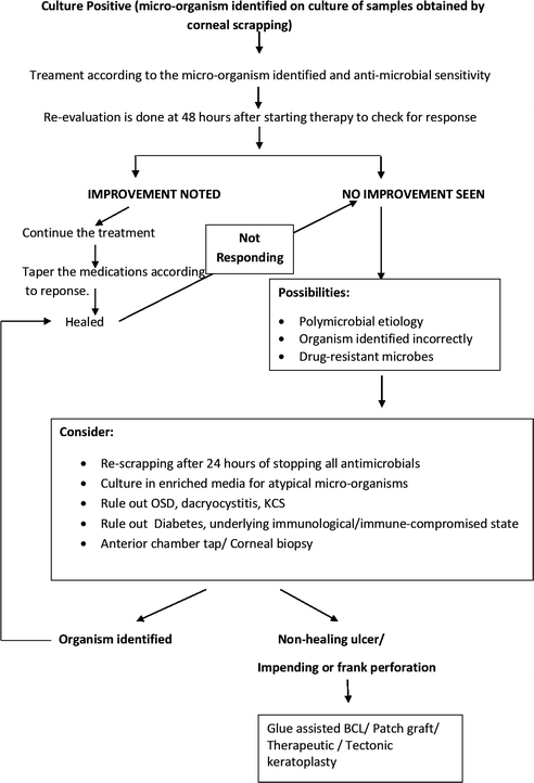 Medical Therapy Algorithms | Ento Key