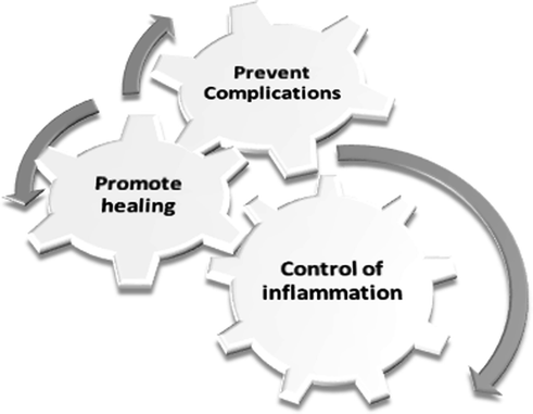 Medical Therapy Algorithms | Ento Key