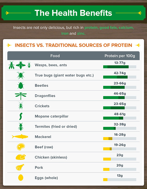 Infographic Comparing Insect Protein to Beef, Pork, Poultry, and