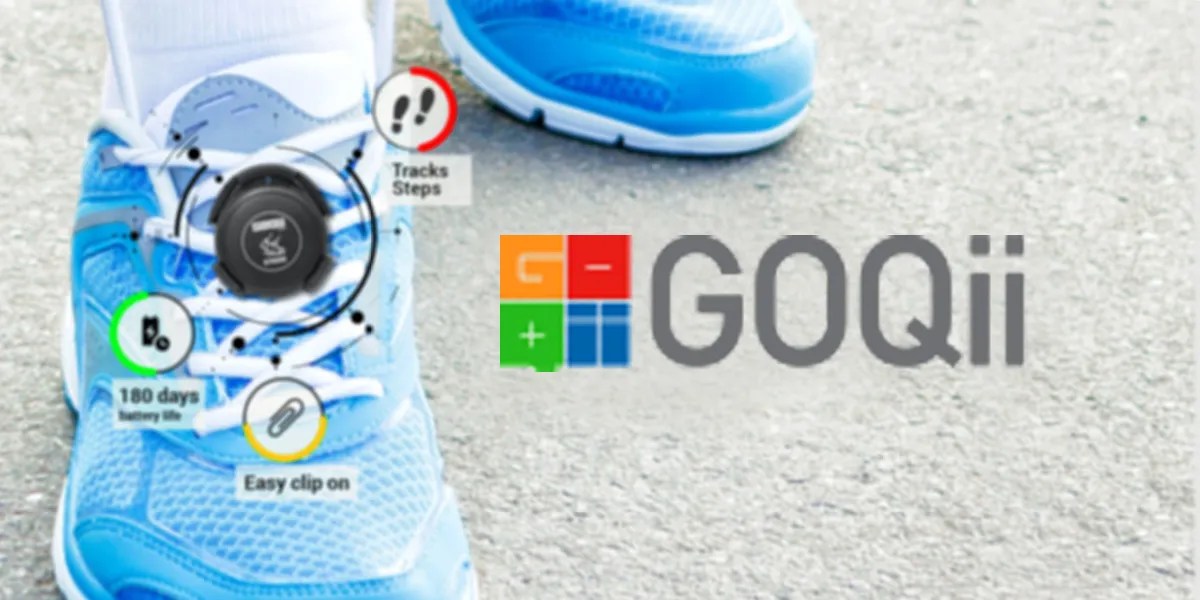 Goqii Overview and Company Profile AmbitionBox