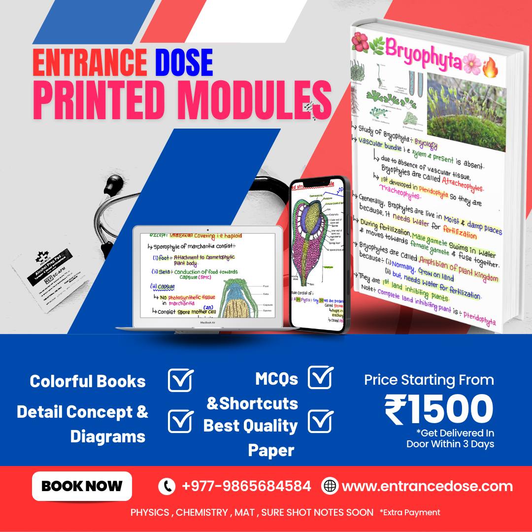 HomePage EntanceDose