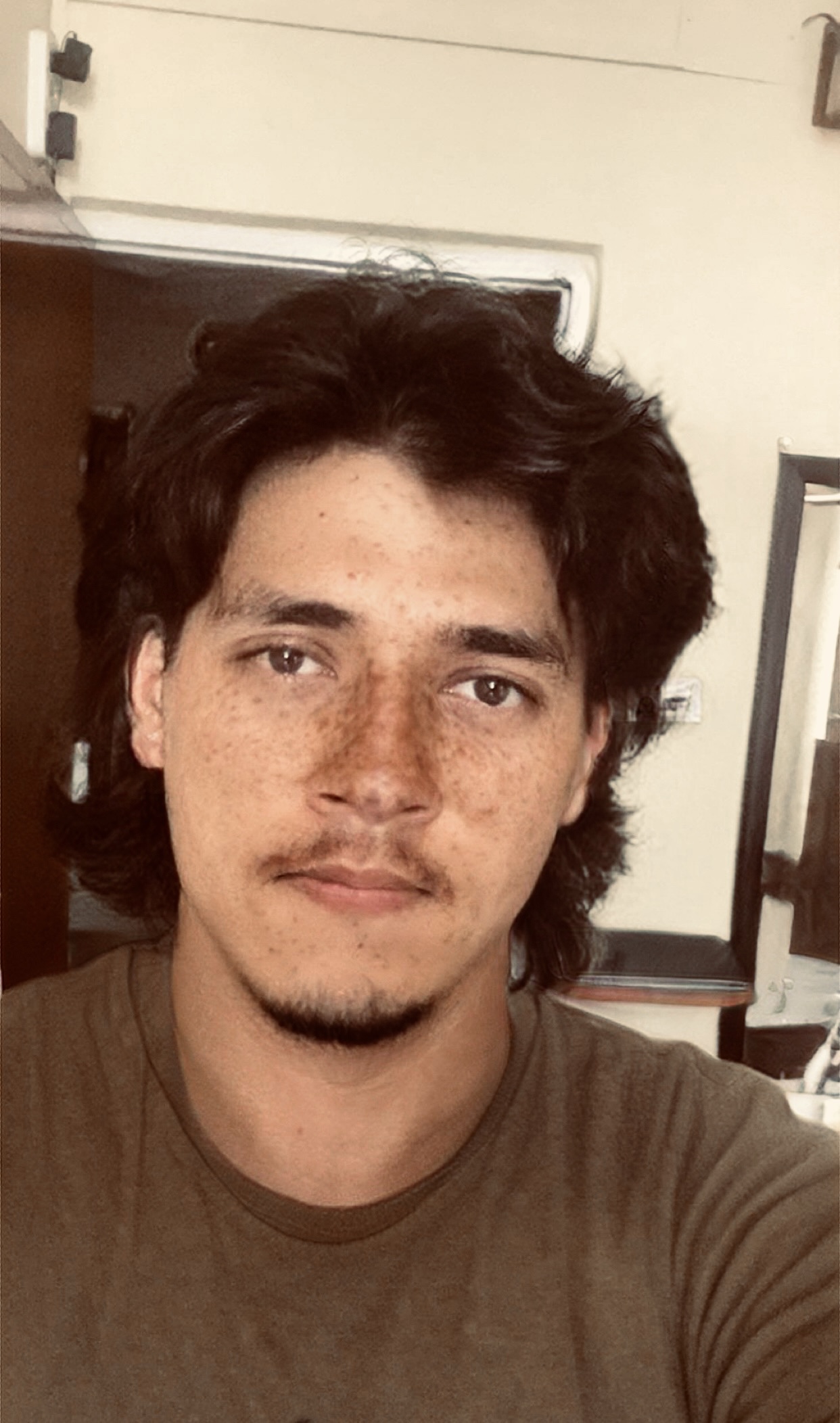 RAPID REVISION EntanceDose