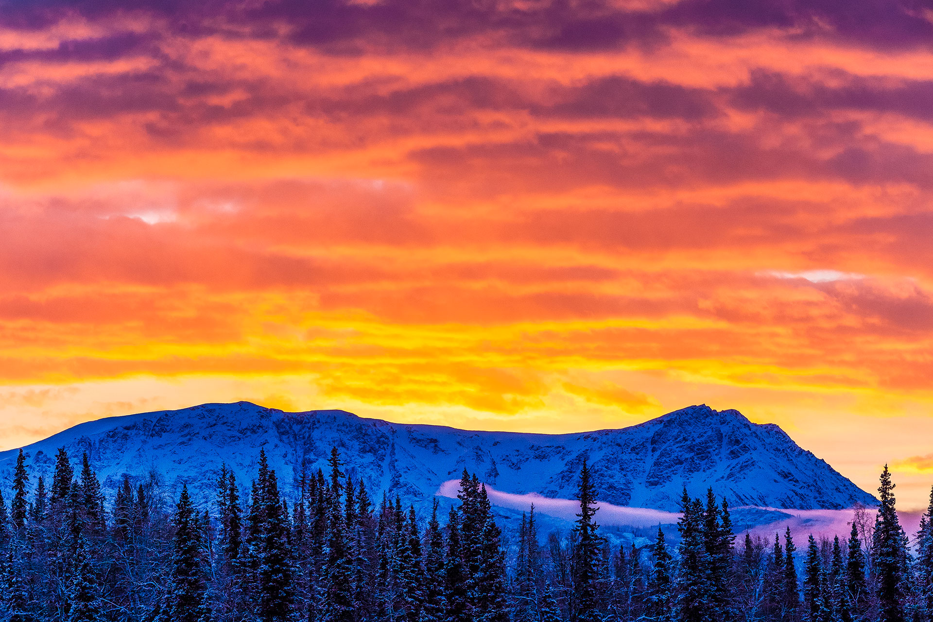 A Spectacular Winter Alaska Wilderness Vacation Entrée Destinations
