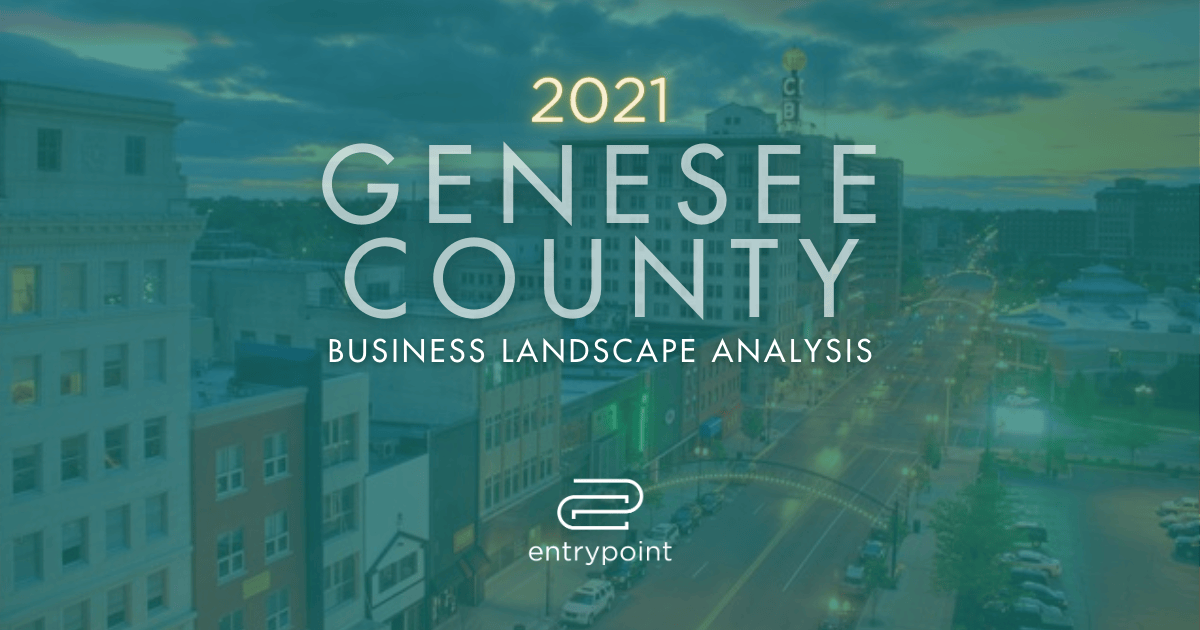 EntryPoint to Research Flint Small Business & Entrepreneurial Ecosystem