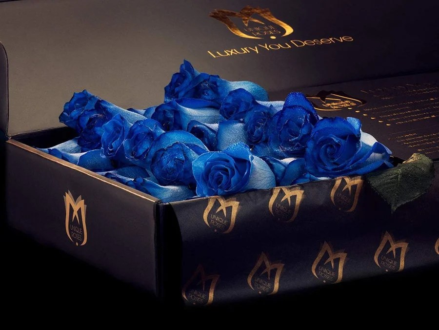 Blue Roses Blue Roses Delivery Online in UK Envie Roses